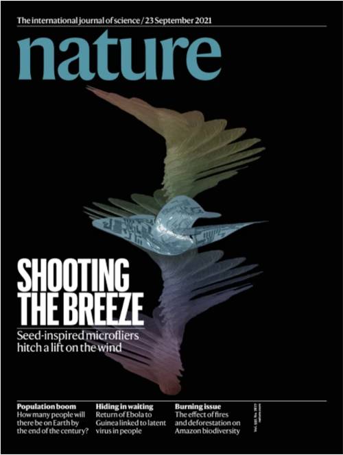 식물의 씨앗을 모방한 초소형 3차원 전자소자 연구가 9월24일자 네이처 표지 논문으로 게재됐다. [사진=과기정통부]