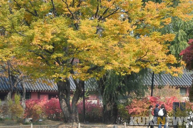 서울 창덕궁 후원을 찾은 시민들이 가을 정취를 만끽하고 있다.   박효상 기자