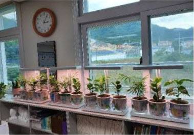 (사진제공=트리플래닛)