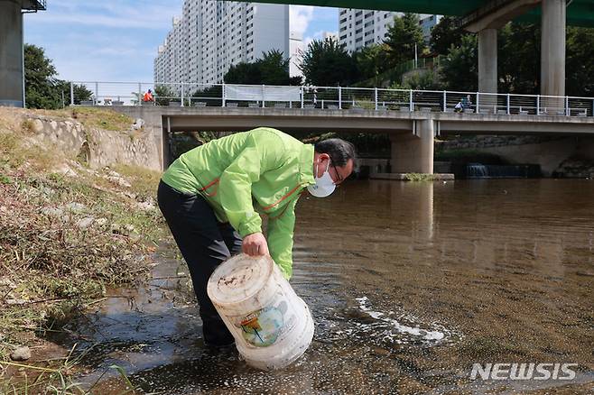 조광한 경기 남양주시장이 24일 남양주시 와부읍 월문천 합류지점에 대농갱이 치어를 방류하고 있다. (사진=남양주시 제공)