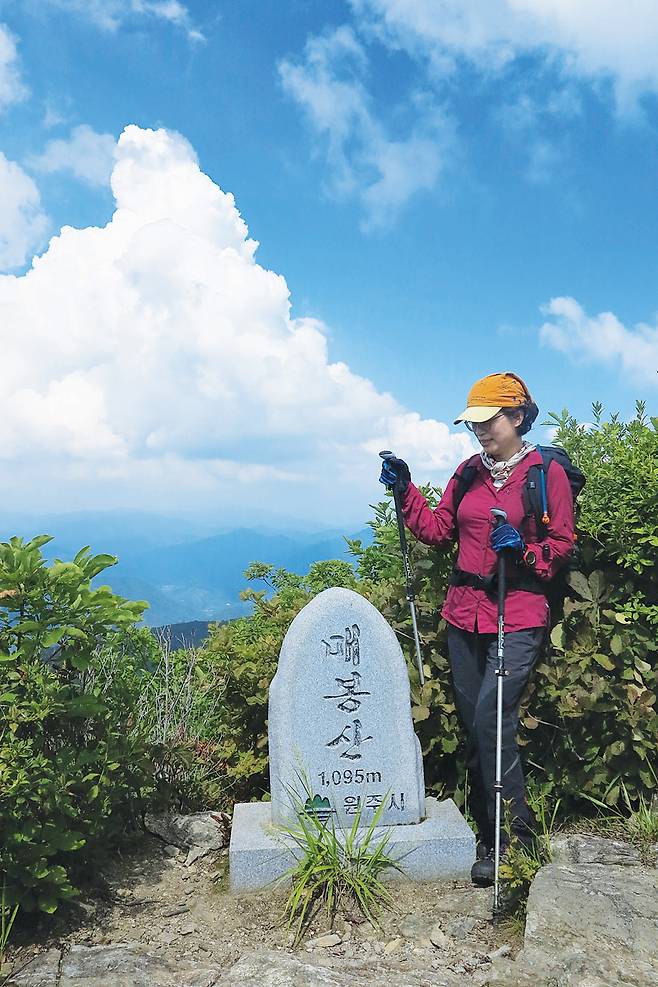 매봉산 정상비석. 원주시에서 세웠다. 정상비석은 있는데 매봉산의  들머리나 하산지점에 이정표가 하나도 없다.