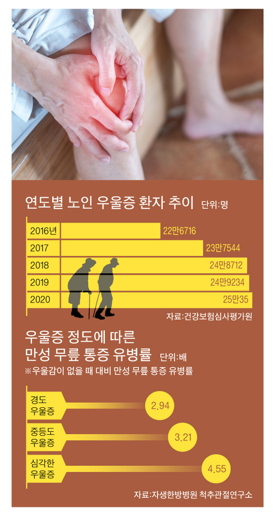 그래픽=박춘환 기자 park.choonhwan@joongang.co.kr