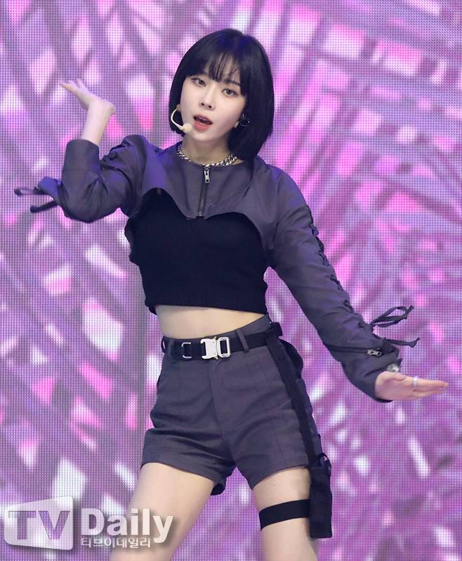 티브이데일리 포토