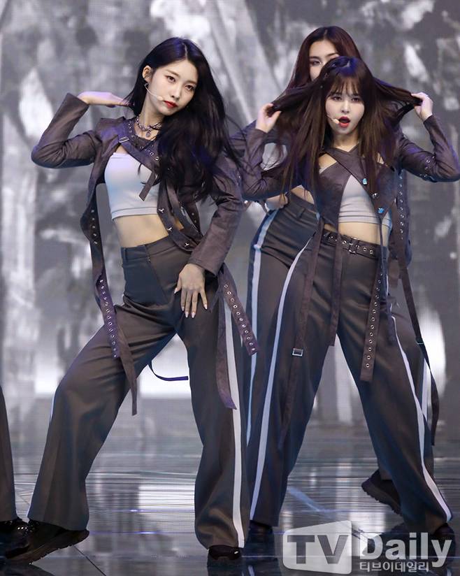 티브이데일리 포토