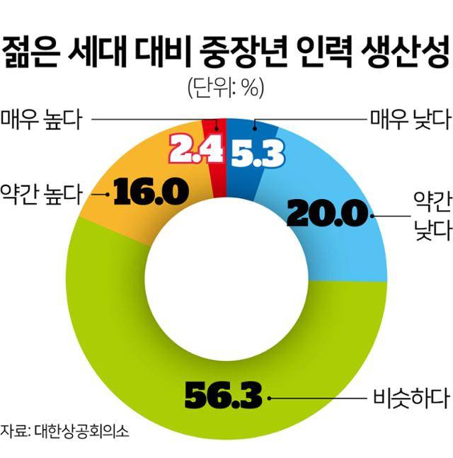 젊은 세대 대비 중장년 인력 생산성
