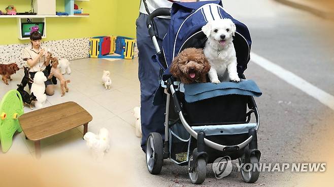 반려동물 애완견(CG) [연합뉴스TV 제공]