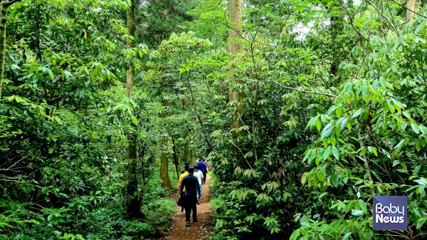 거문오름을 탐방하고 있는 탐방객들. 거문오름은 지난 2005년 국가지정 문화재 '천연기념물 제444호'로 지정되었고, 2007년에는 '유네스코 세계자연유산'에 등재되었다. ⓒ김재원