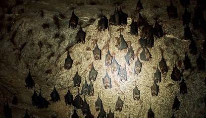 사진은 본 기사와  직접적인 관계 없음. [사진=게티이미지뱅크]