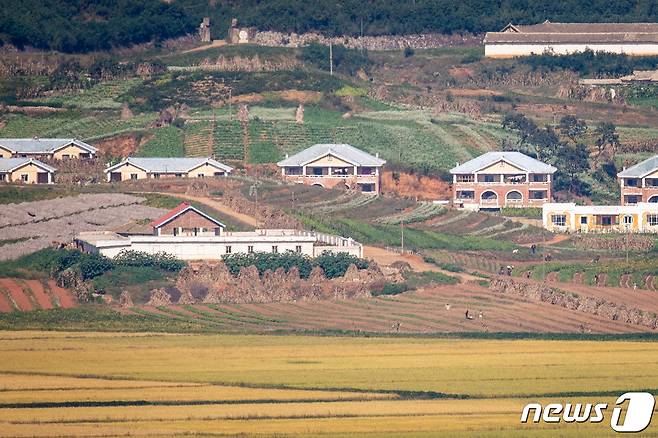 김여정 북한 노동당 부부장이 연이틀 문재인 대통령의 종전선언 제의에 '긍정 담화'를 내놓은 가운데 26일 경기 파주 오두산통일전망대에서 바라본 북한 개풍군 마을 탈곡장 부근에서 주민들이 분주히 움직이고 있다. 2021.9.26/뉴스1 © News1 유승관 기자