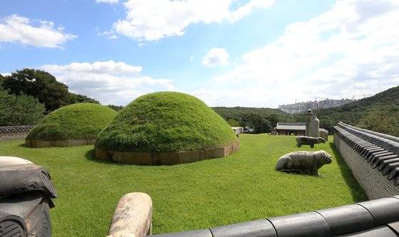 23일 경기도 김포시 풍무동 장릉(사적 제202호)에서 인천 서구 검단신도시에 짓고 있는 아파트단지(오른쪽)가 보이고 있다. 뉴스1