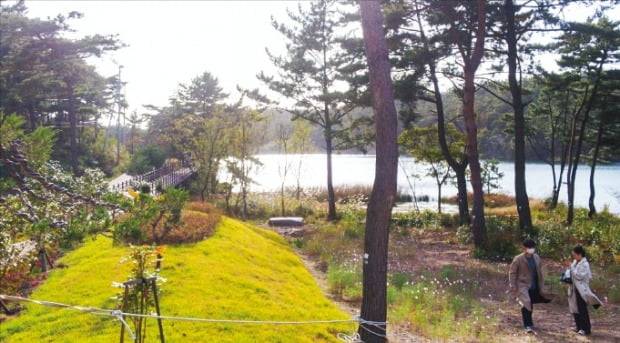 서천군 종천면에 있는 ‘치유의 숲’. /서천군 제공