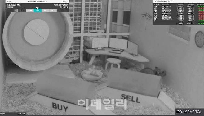 사진은 곡스가 투자를 결정하는 공간이다.(사진= BBC 캡처)
