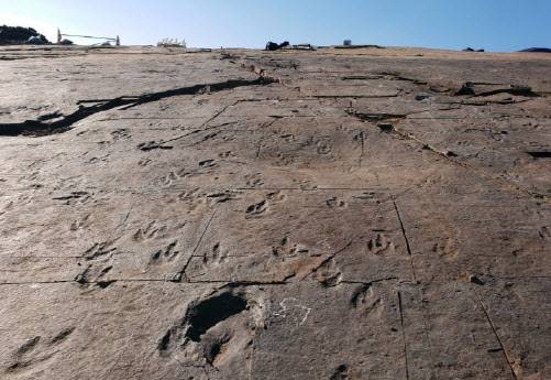 (사진=연합뉴스)