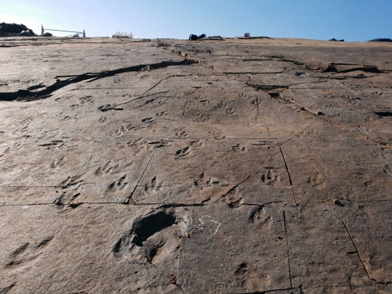 정촌면 공룡·익룡 발자국 화석산지 [이미지출처=진주시]