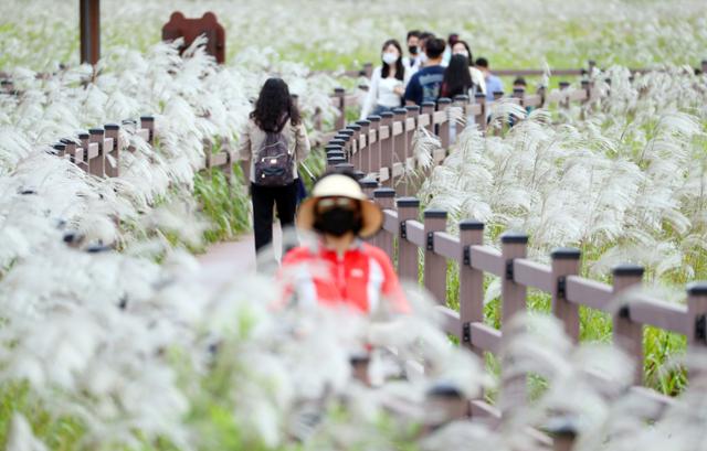 대구 달서구 대명 유수지에서 시민들이 가을을 만끽하며 산책하고 있다. 연합뉴스