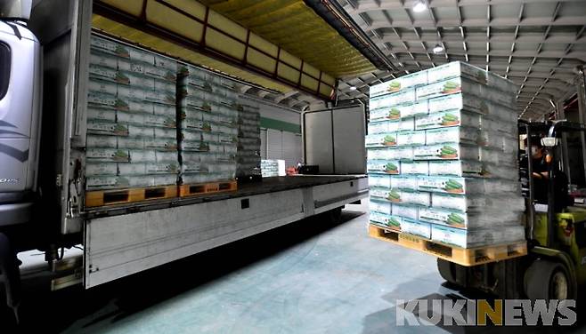 전국으로 출하되고 있는 화천 애호박