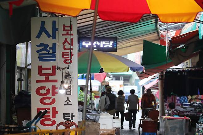 문재인 대통령의 ‘개고기 식용 금지 검토’ 입장이 알려진 가운데 28일 오후 대구 칠성시장 골목 안 보신탕 식당에서 식사를 마친 시민들이 이야기 나누고 있다 (사진=뉴스1)