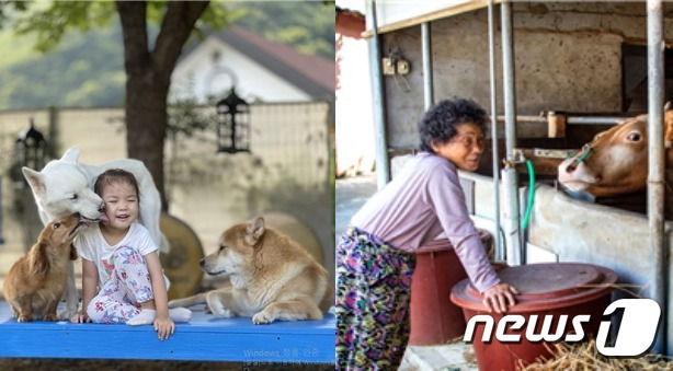 '제14회 동물사랑 사진 공모전' 대상(왼쪽)과 장려상 수상작(농림축산검역본부 제공) © 뉴스1