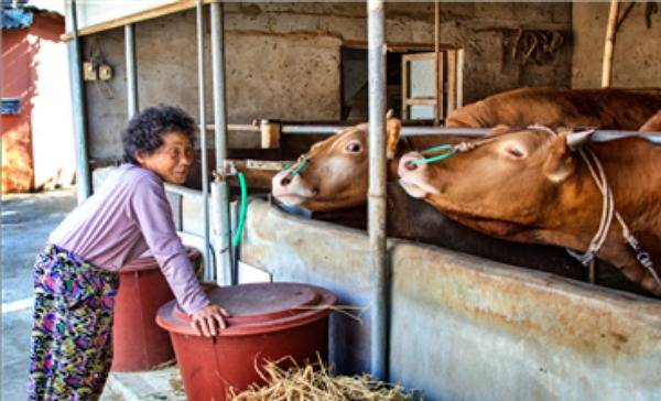 '제14회 동물사랑 사진 공모전' 장려상 '내새끼들' (농림축산검역본부 제공) © 뉴스1