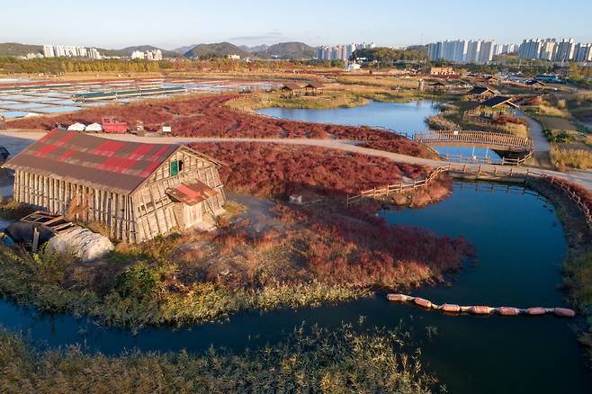 시흥 갯골생태공원. 사진제공=한국관광공사
