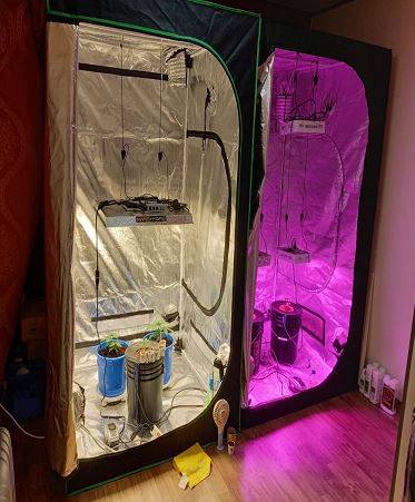 A씨가 설치한 대마재배실