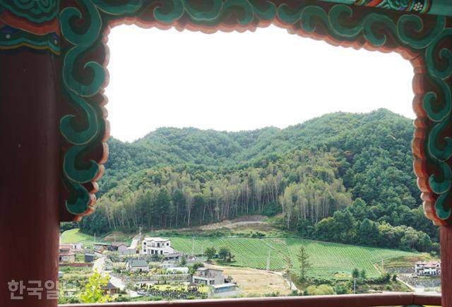 척야산문화수목원에서 용호강 건너편으로 보이는 풍경. 자작나무숲 아래에 전원주택이 들어서 있다.