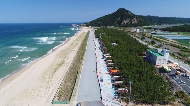 영덕 고래불국민야영장(사진=경북도 제공) 2021.09.2.