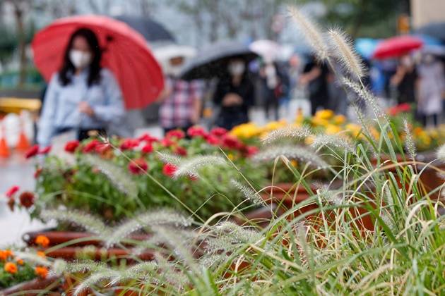 29일은 전국이 흐리고 대부분 지역에서 비가 내릴 것으로 지난 28일 기상청은 예측했다. 사진은 완연한 가을에 접어드는 절기 '백로'인 지난 7일 오전 서울 중구 청계광장에 있는 수크령 너머로 우산 쓴 시민들이 출근하는 모습. /사진=뉴스1