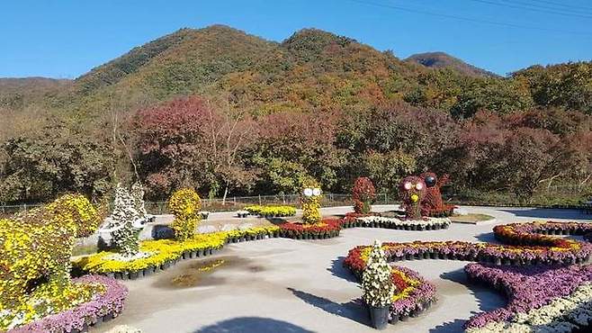 연천국화전시회 *재판매 및 DB 금지