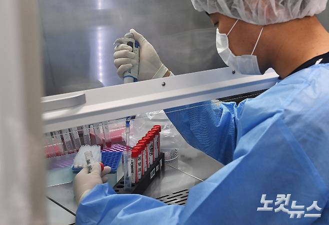 의료진이 채취한 검체로 코로나19 감염 여부를 확인하고 있다. 사진공동취재단
