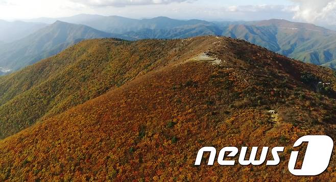 천제단이 보이는 강원 태백산. (뉴스1 DB)
