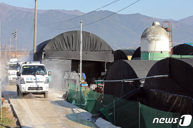 육용오리 농장 인근 방역소독./뉴스1 © News1