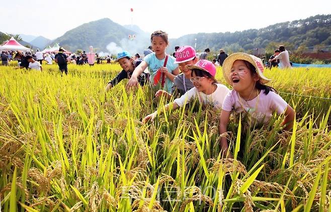 메뚜기잡기 체험.사진=완주군