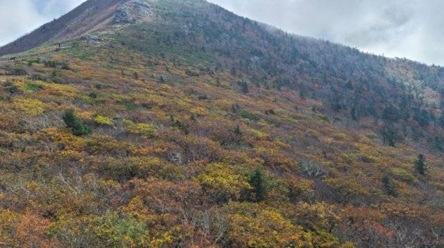 설악산. 기상청.