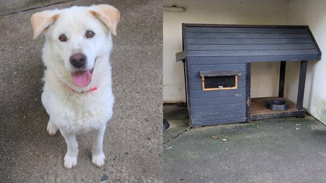 광주 우치동물원에서 살고 있는 별이와 별이가 지내는 공간. 우치동물원 제공