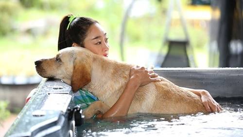 펫키지 최여진 사진=JTBC