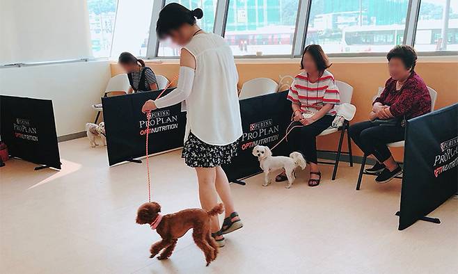 지난해 서울 구로구 서울동물복지지원센터에서 반려동물 행동교육을 받고 있는 시민들 모습.