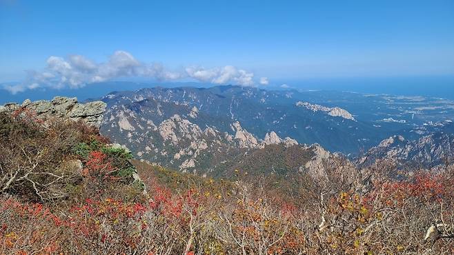 설악산 30일 첫 단풍 [기상청 제공. 재판매 및 DB 금지]