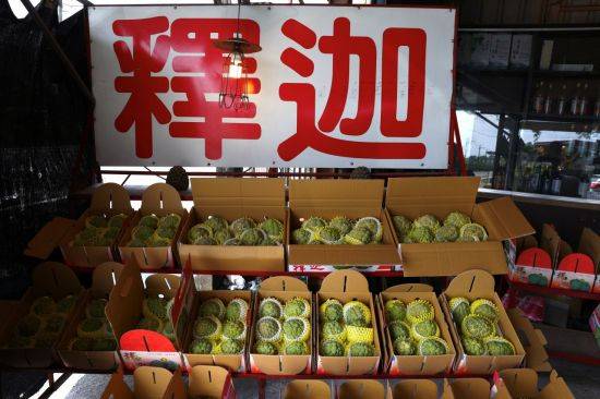 [사진 제공= 로이터연합뉴스]