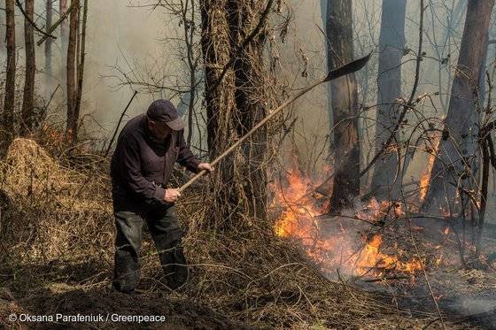체르노빌 인근 제한구역 밖에서 큰 불이 정리된 뒤 잔불을 정리하고 있는 모습.그린피스 러시아사무소