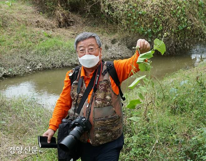 샛강 생태공원 뿐만 아니라 한반도 도처에서 생태를 위협하고 있는 외래종 가시박을 뽑아서 들어보인 류만선  한국식물연구회 회장. 20년 ‘식물덕후’다.
