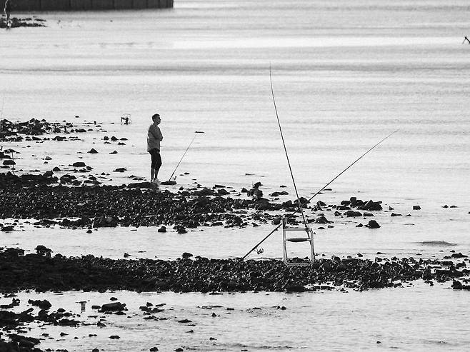 사진 = 픽사베이