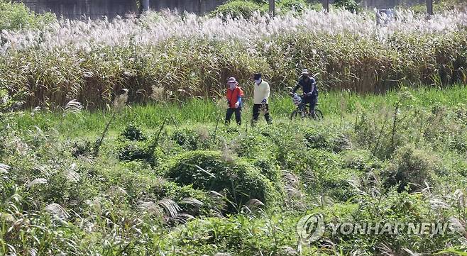 전주 천변 산책하는 시민들 [연합뉴스 자료사진]