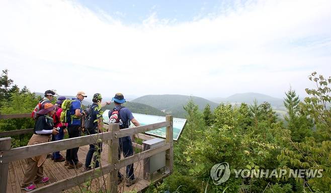 세계자연유산 거문오름 탐방 [연합뉴스 자료사진]