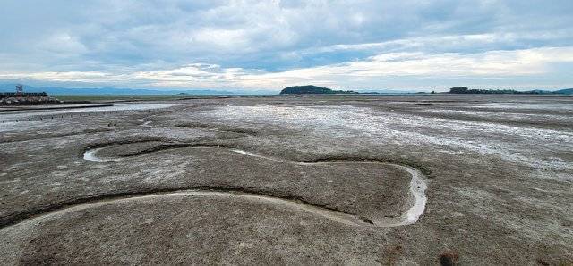 무안황토갯벌랜드 갯벌생태공원.