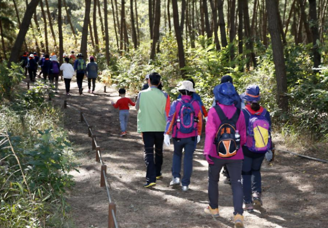 태안반도에 나 있는 ‘솔향기 길’. 산-바다-하늘이 조화를 이뤄 절경이다. 사진=태안군.