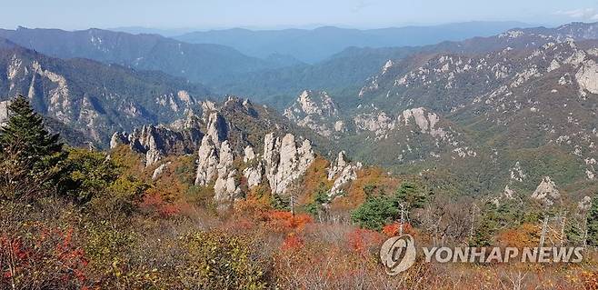 단풍 물드는 설악산 (속초=연합뉴스) 1일 소청대피소에서 바라다본 설악산 능선에 단풍이 물들고 있다. 2021.10.1
    [설악산사무소 제공·재판매 및 DB 금지] momo@yna.co.kr