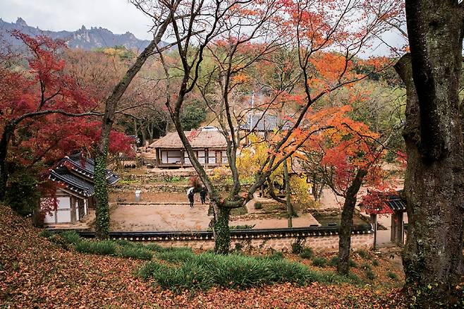 백운동별서에 단풍이 빨갛게 물든 가을 풍경ⓒ강진구청