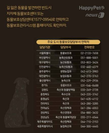 지자체 동물보호담당부서 연락처 © 뉴스1