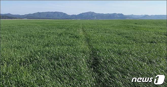 토지 전경 © 뉴스1 DB